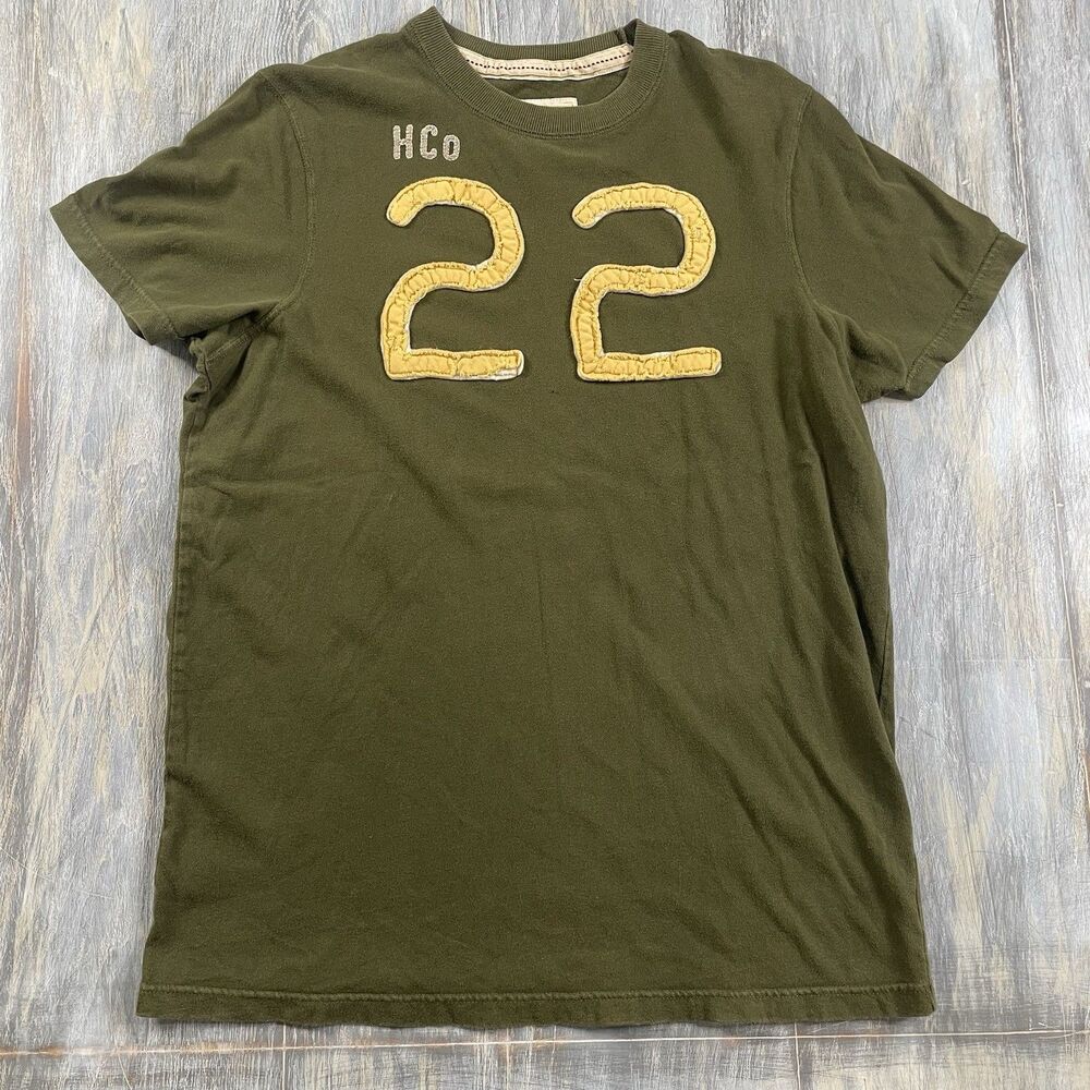 Hollister HCO 22 Logo Shirt